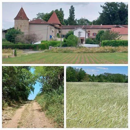 Holiday home Le Chant De L'alyte Lens-Lestang